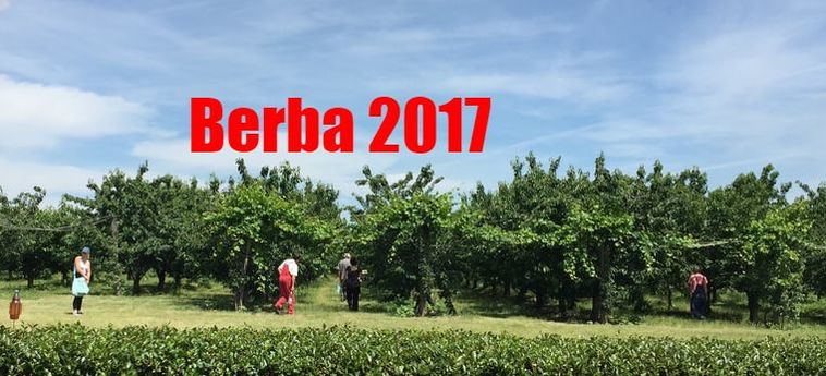 Simedro Fruits - Berba 2017